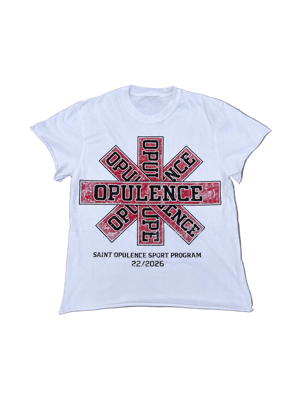 Broken Program Tee